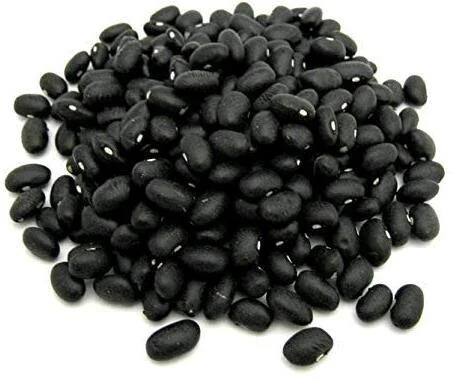 Kavach Seed (Mucuna pruriens) used in Energyon